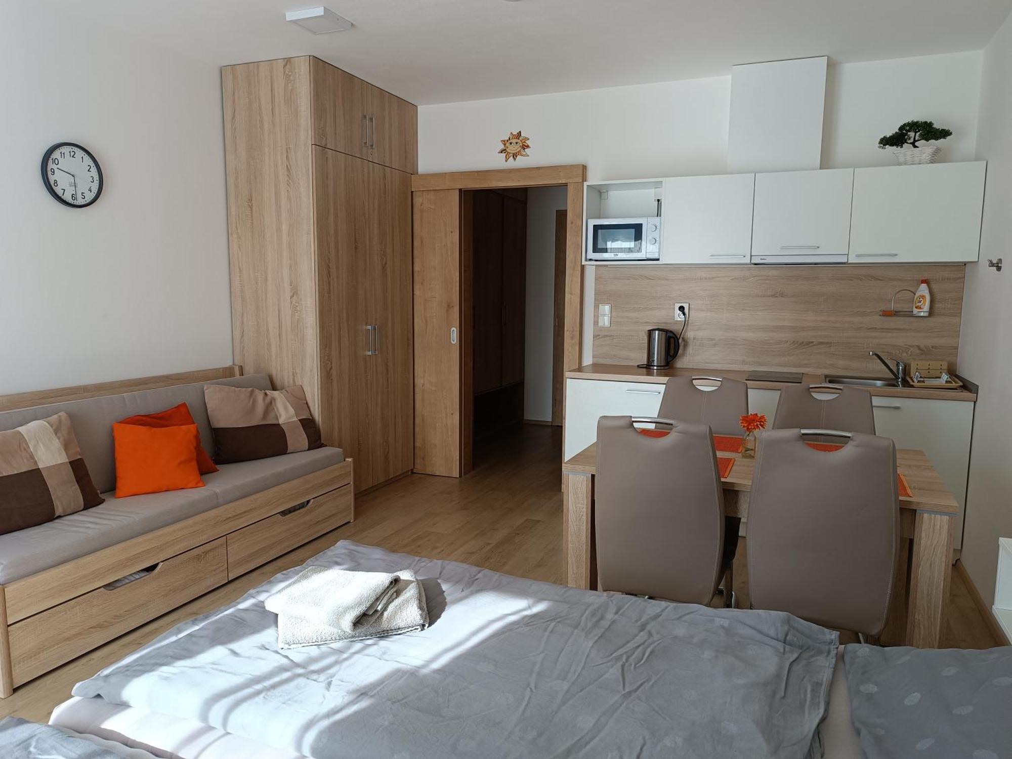 U Sjezdovky Apartment *