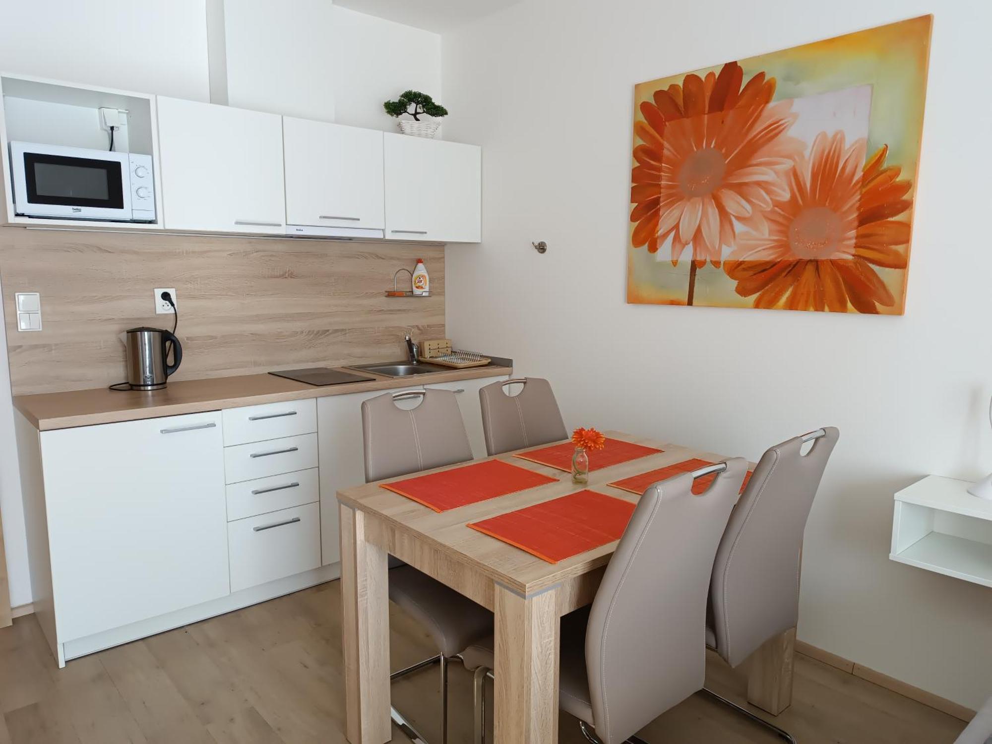 U Sjezdovky Apartment Dolni Morava
